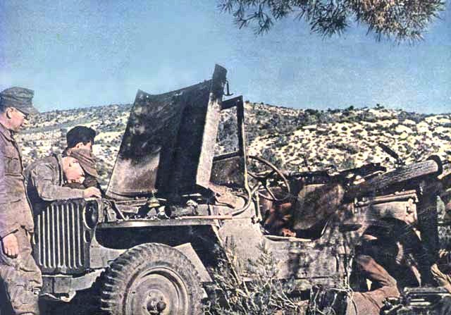 d1083.jpg