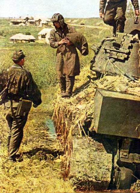 d1086.jpg