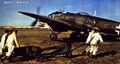 d1115.jpg
