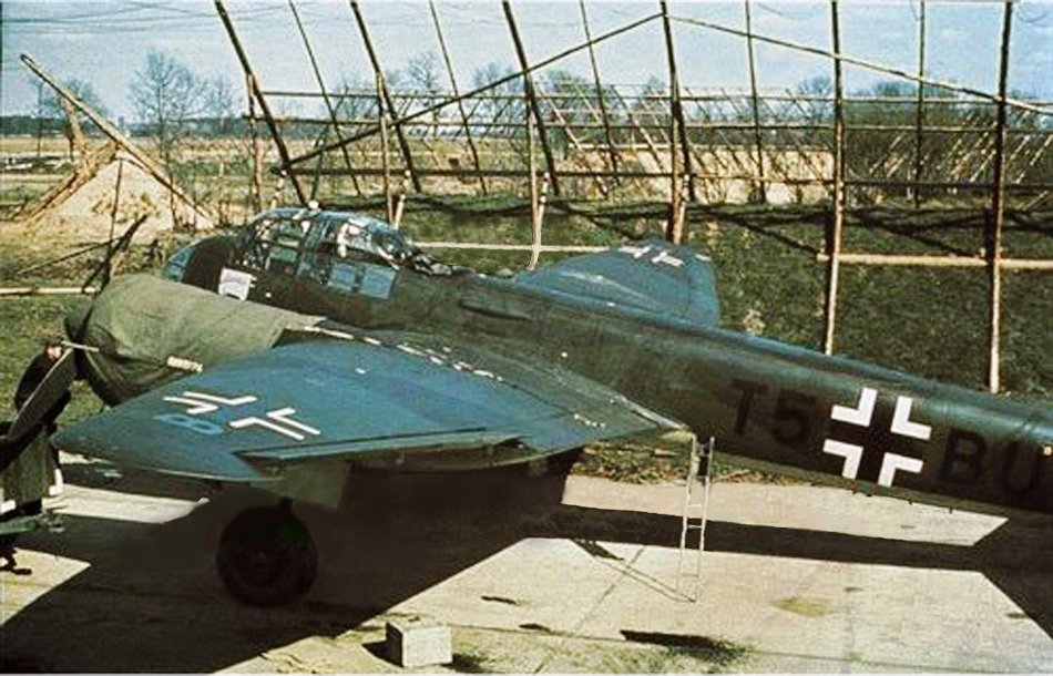 d1130.jpg