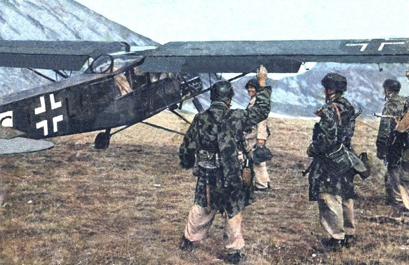 d1136.jpg