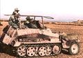 d1189.jpg