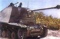d1193.jpg