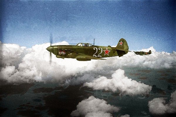 d1208.jpg