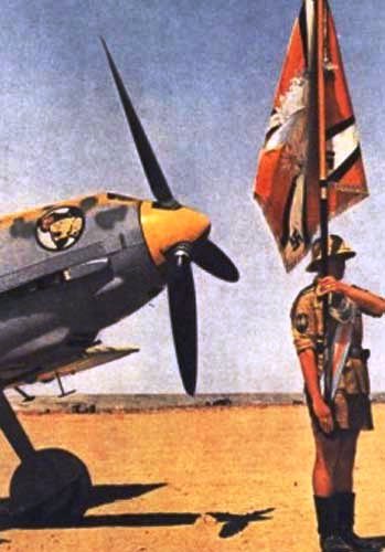 d1244.jpg