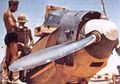 d1287.jpg
