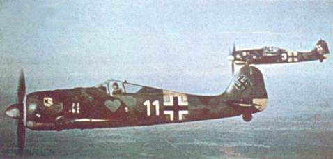 d1310.jpg