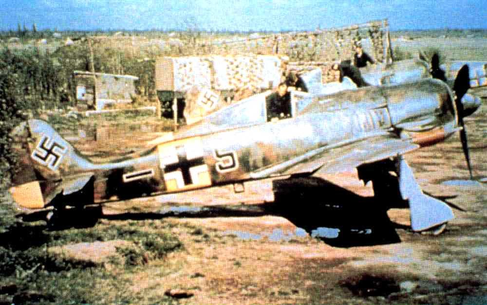 d1311.jpg