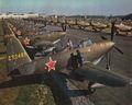 d1358.jpg