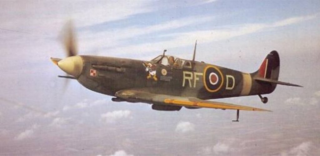 d1462.jpg