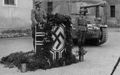 Marder
