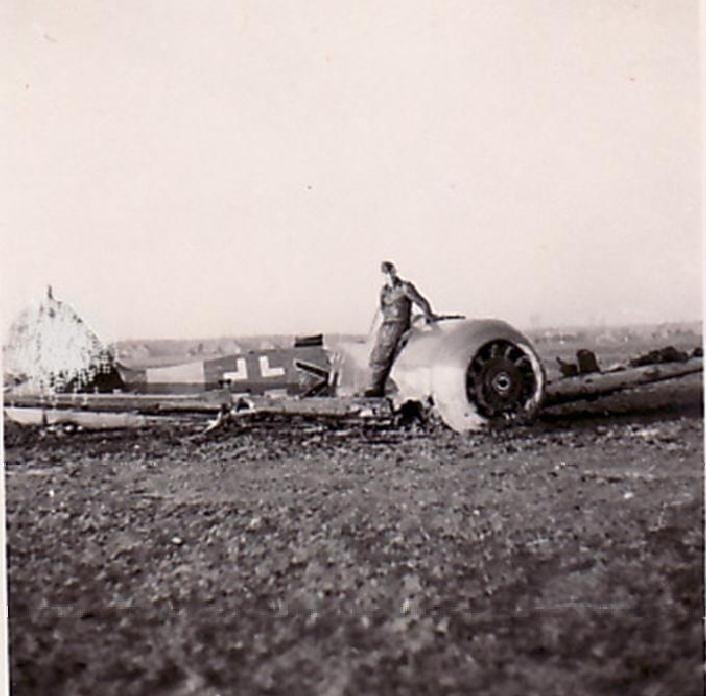 339.jpg