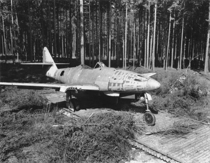 354.jpg