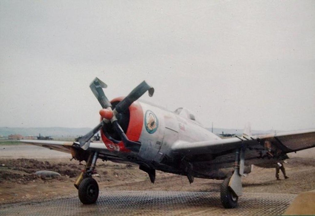 168.jpg
