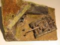 diorama5_002