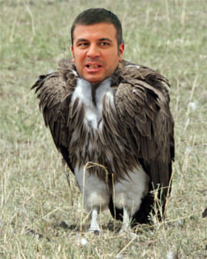 AvvoltHoot