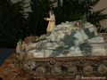 DSCN0284