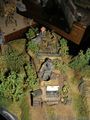 DSCN0358