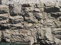 Campagna M+ 2012 - Fronte occidentale - The Atlantic wall