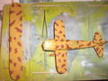 Fiat CR 42 - 04