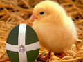 Pasqua2012