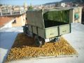 FIAT621 176