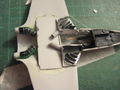 Sea Hawk 08