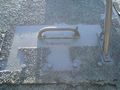 DSC04905.jpg