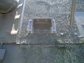 DSC04904.jpg