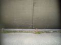 DSC05191.jpg