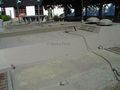 DSC05185.jpg