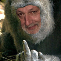 Enricorilla