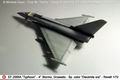 Typhoon_17
