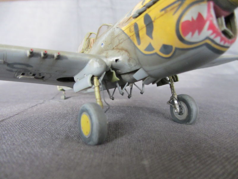 P-40E. 101