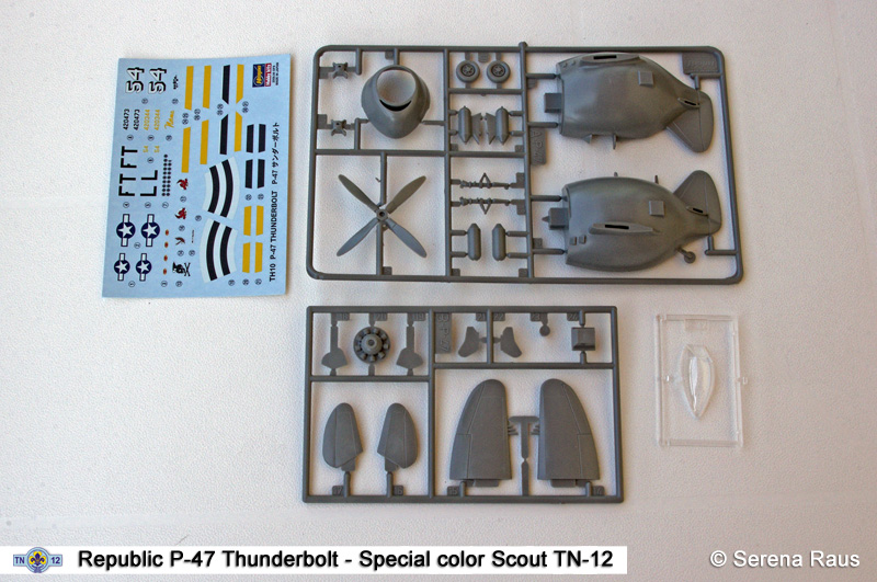 P-47_02