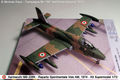 Campagna M+ 2013 - 90° dell'Arma Azzurra - Aermacchi MB-326K