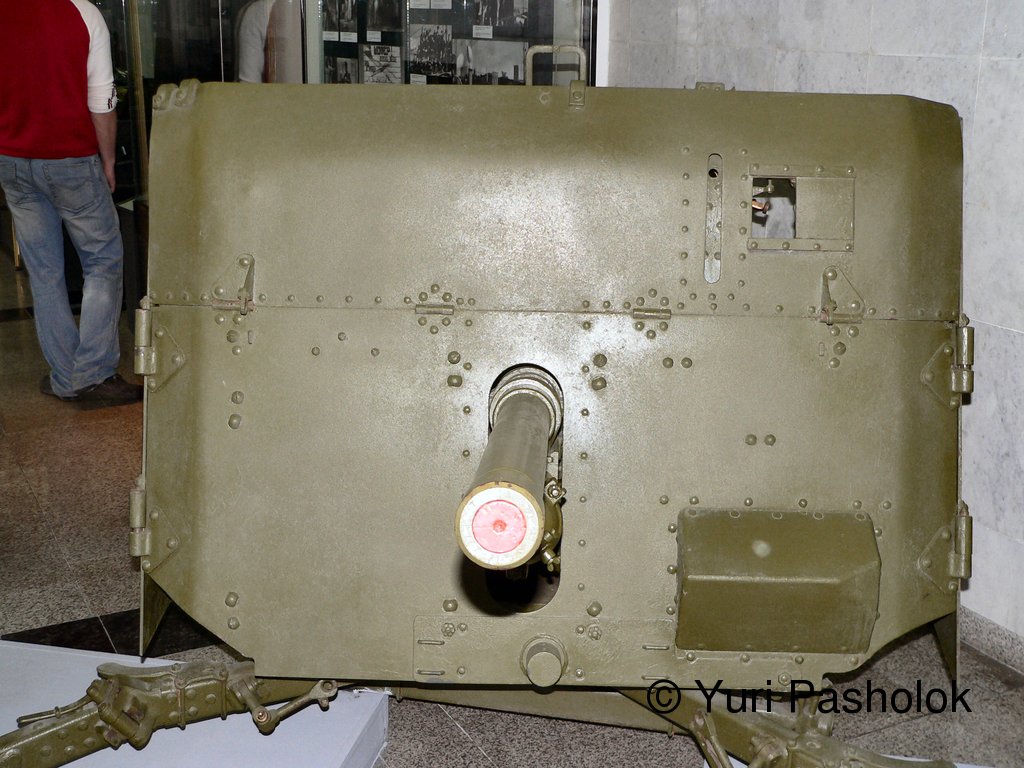 469.jpg