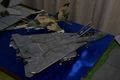 DSC00577b