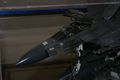 DSC00579b