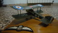 Campagna M+ 2013 - WWI - Sopwith pup RFC - Wingnut Wings 1:32