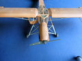 storch (37)