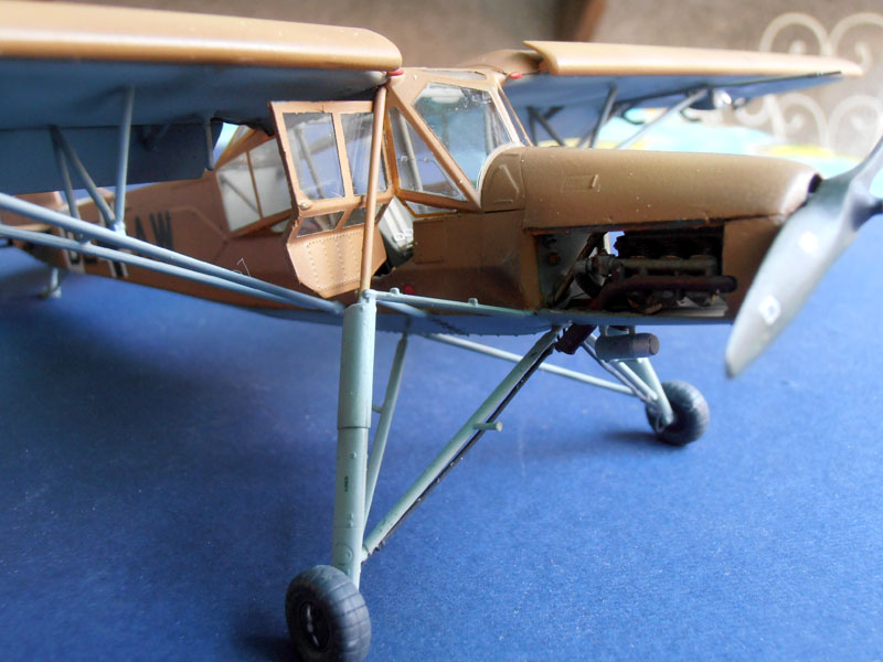 storch (39)