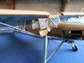 storch (40)