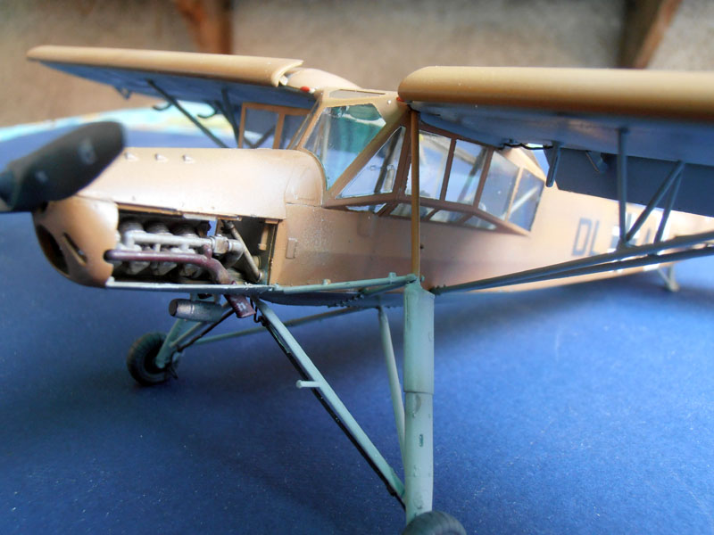 storch (41)