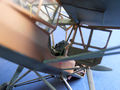 storch (45)