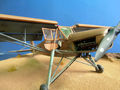 storch (61)