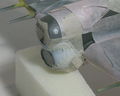 Hawker Typhoon 010 (colorazione insegne 5 mascherature Shark Mouth 2)