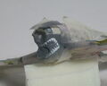 Hawker Typhoon 010 (colorazione insegne 7 grigio Shark Mouth 5)