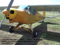 Piper L18 Cub (19)