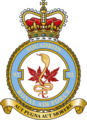 92 Squadron RAF badge